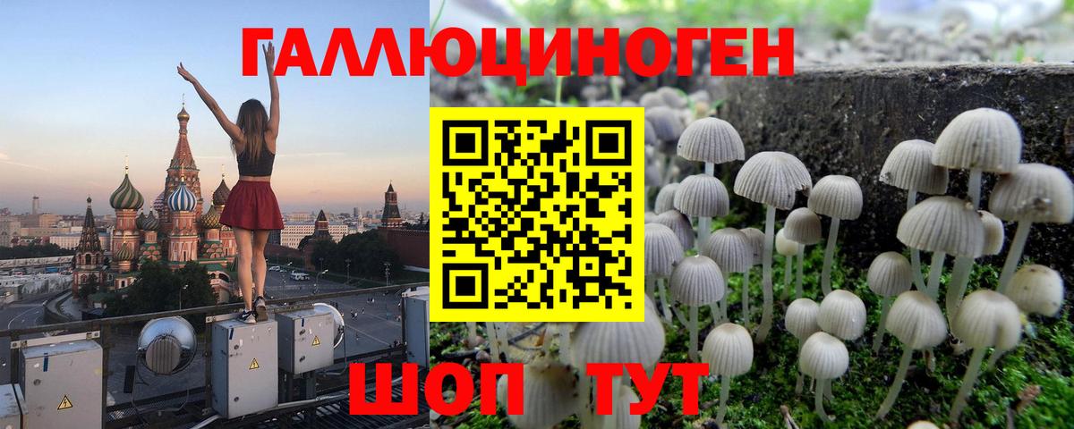 Галлюциногенные грибы прущие грибы Оренбург