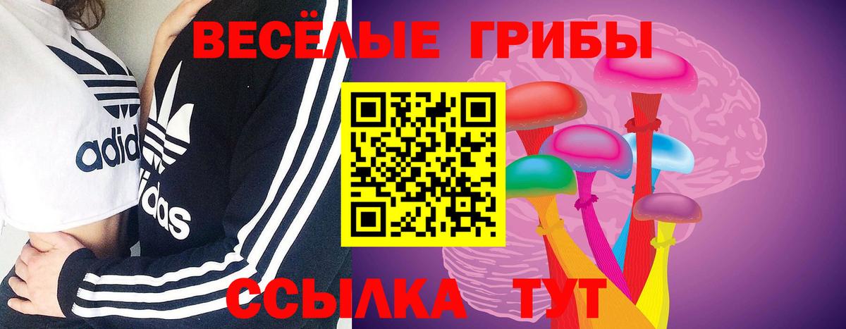 Псилоцибиновые грибы прущие грибы  Галлюциногенные грибы Magic Shrooms  Вход с VPN  Оренбург 